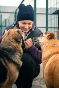 Rescued animals being fed and cared for