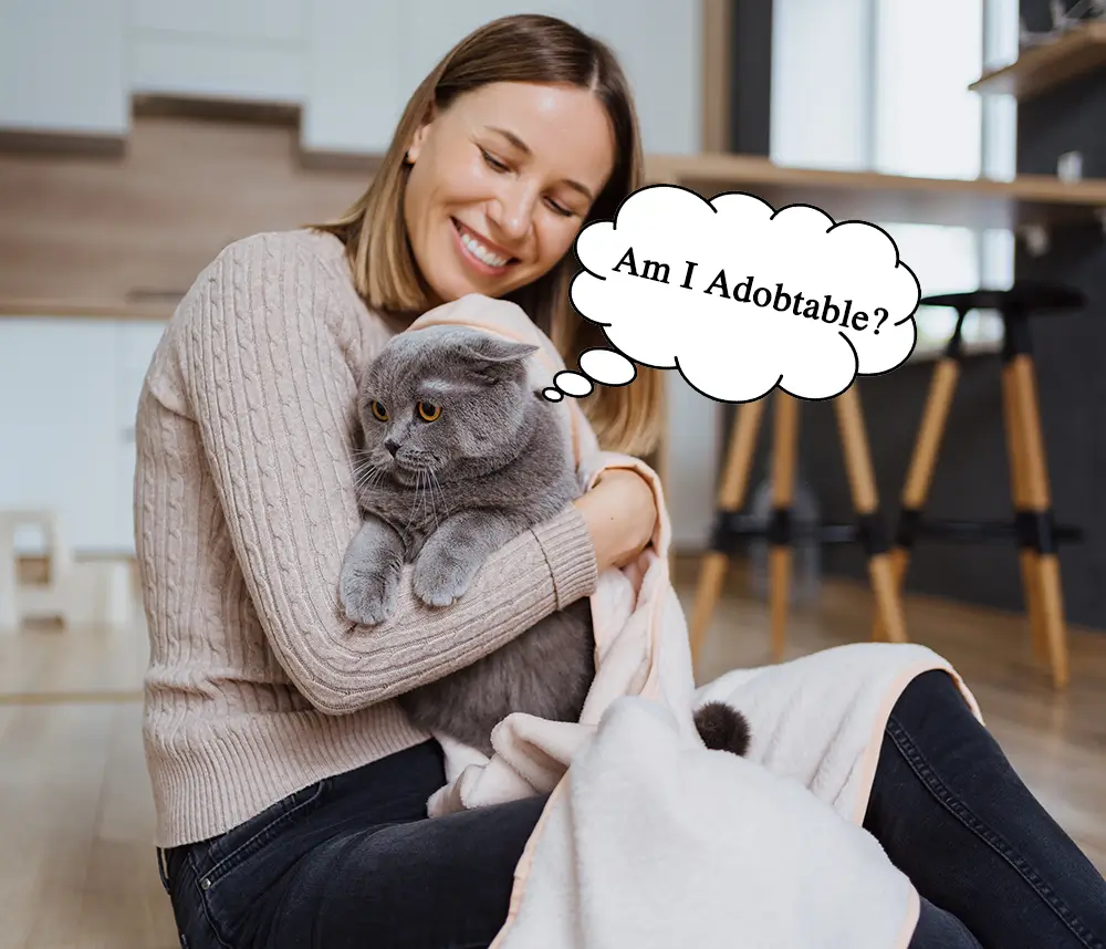 Dr. Elie Najem: I Grant Wishes Pet Rescue, INC